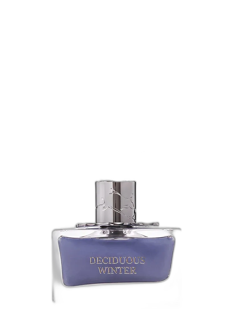 Deciduous Winter — Aurora Scents