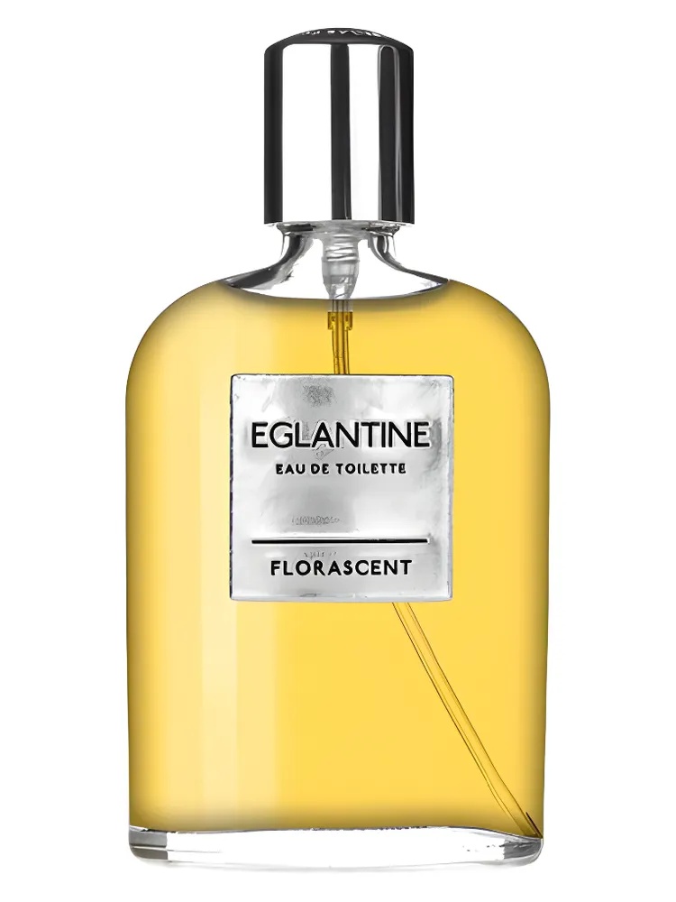 Miniatura 4 de Eglantine