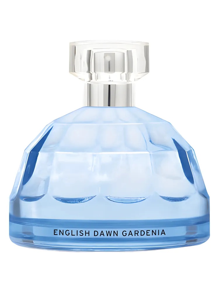 English Dawn White Gardenia thumbnail 4