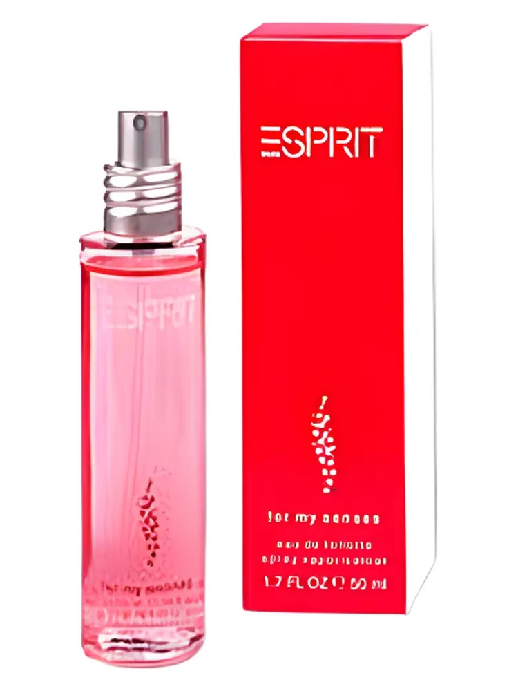 Miniatura 4 de Esprit for my Senses