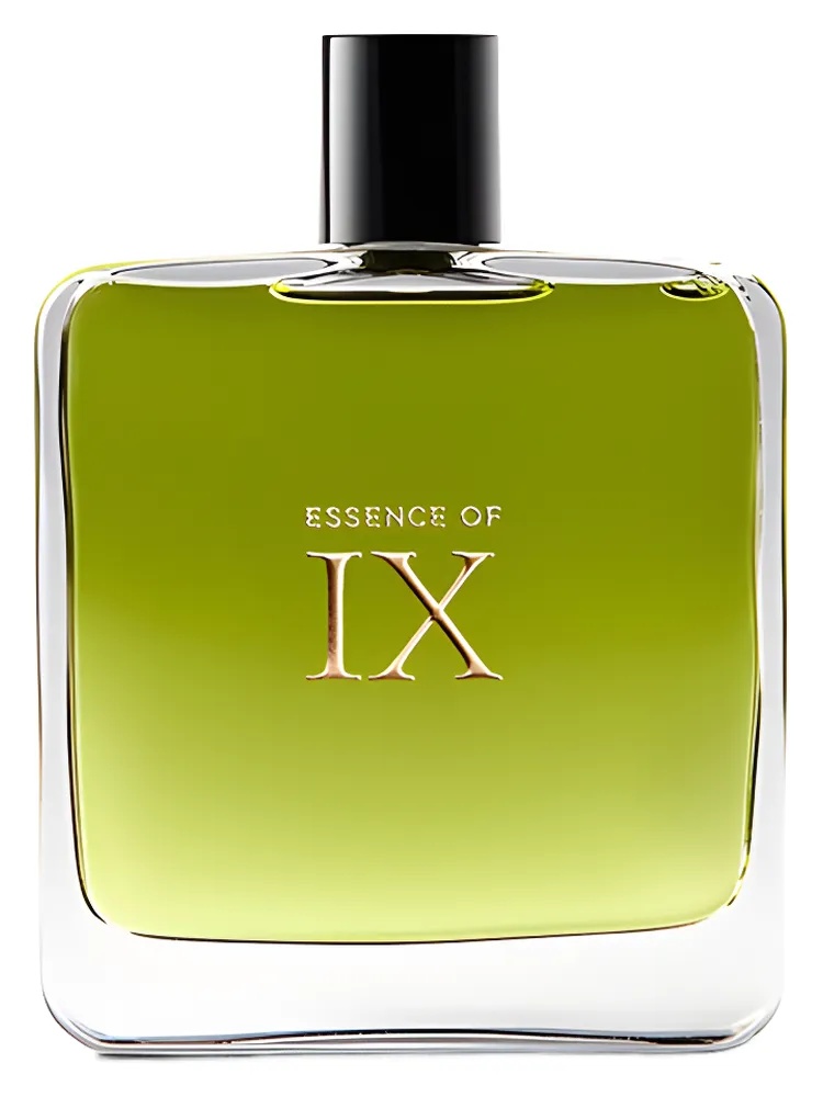Essence of IX thumbnail 4