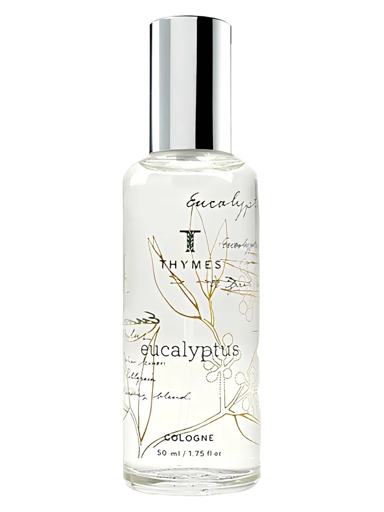 Eucalyptus thumbnail 4