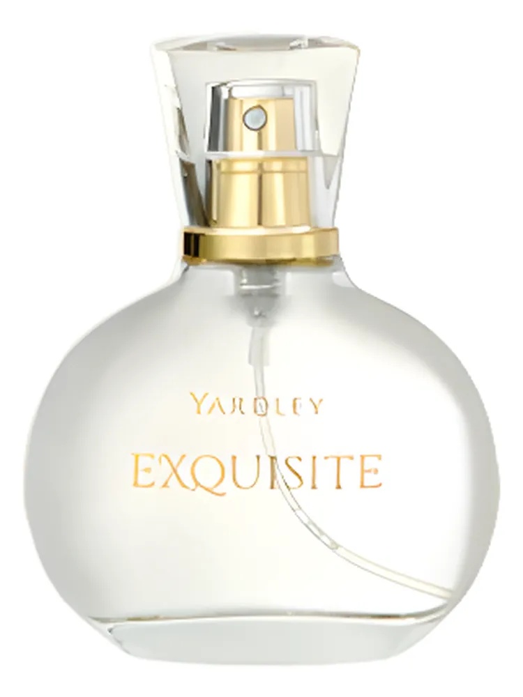 Exquisite thumbnail 4