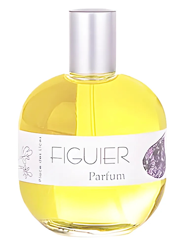 Figuier thumbnail 4