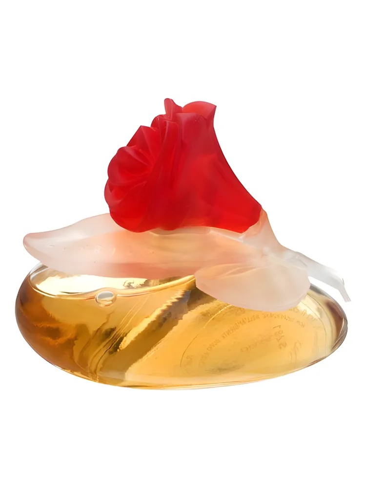 Miniatura 4 de Fiorilu En Fleur