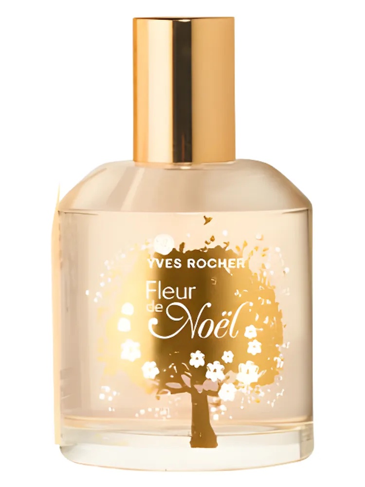 Fleur de Noel 2011 thumbnail 4