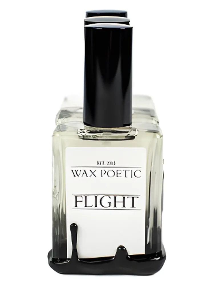 Miniatura 4 de Flight
