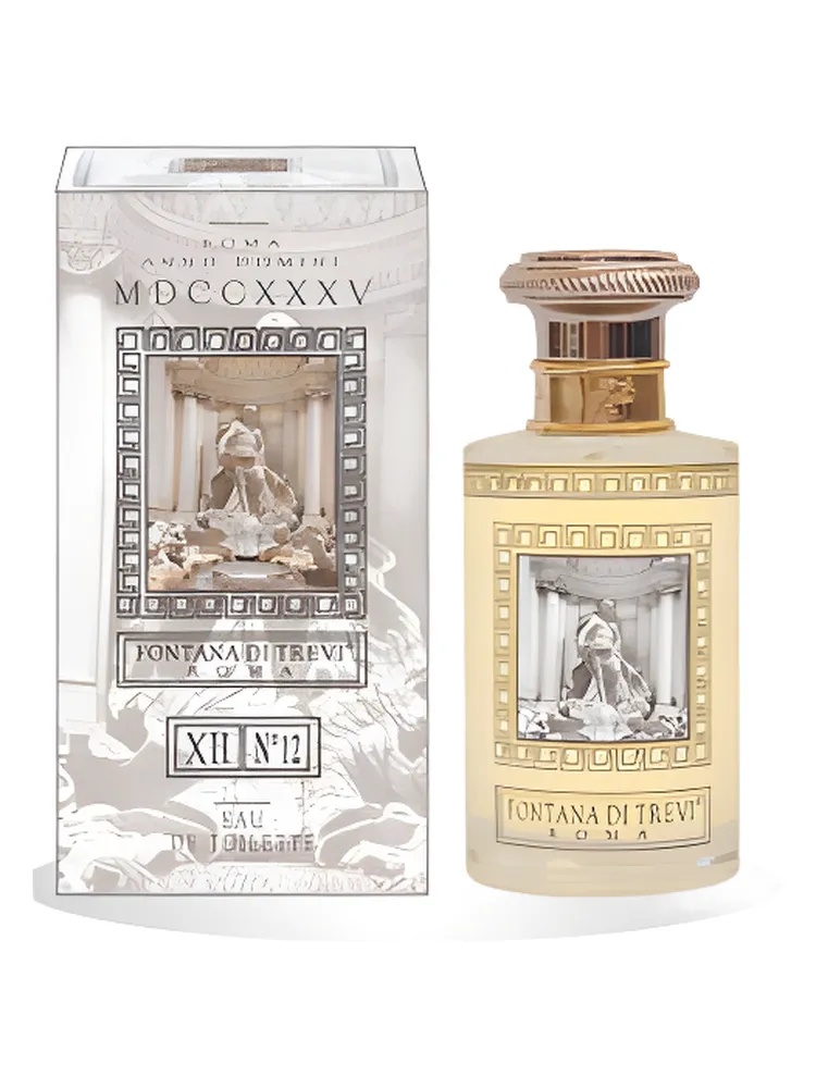 Fontana di Trevi XII