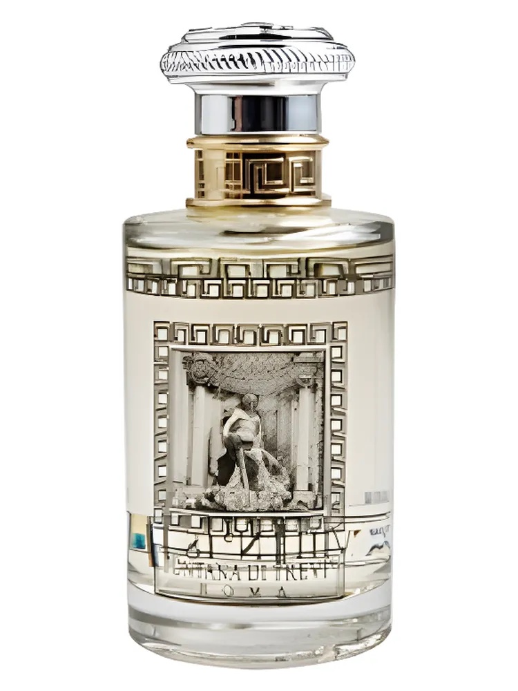 Fontana di Trevi XIV