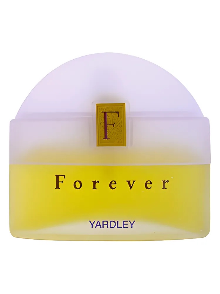 Forever thumbnail 4