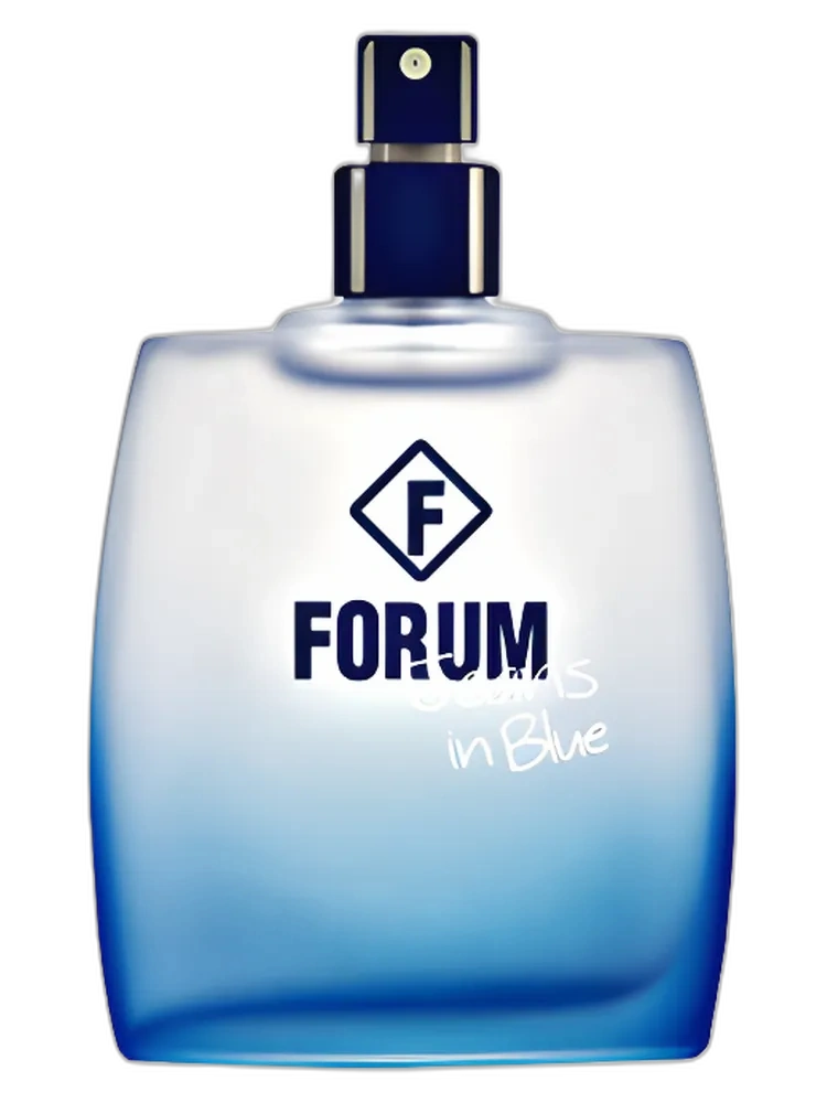 Forum Jeans in Blue — Tufi Duek