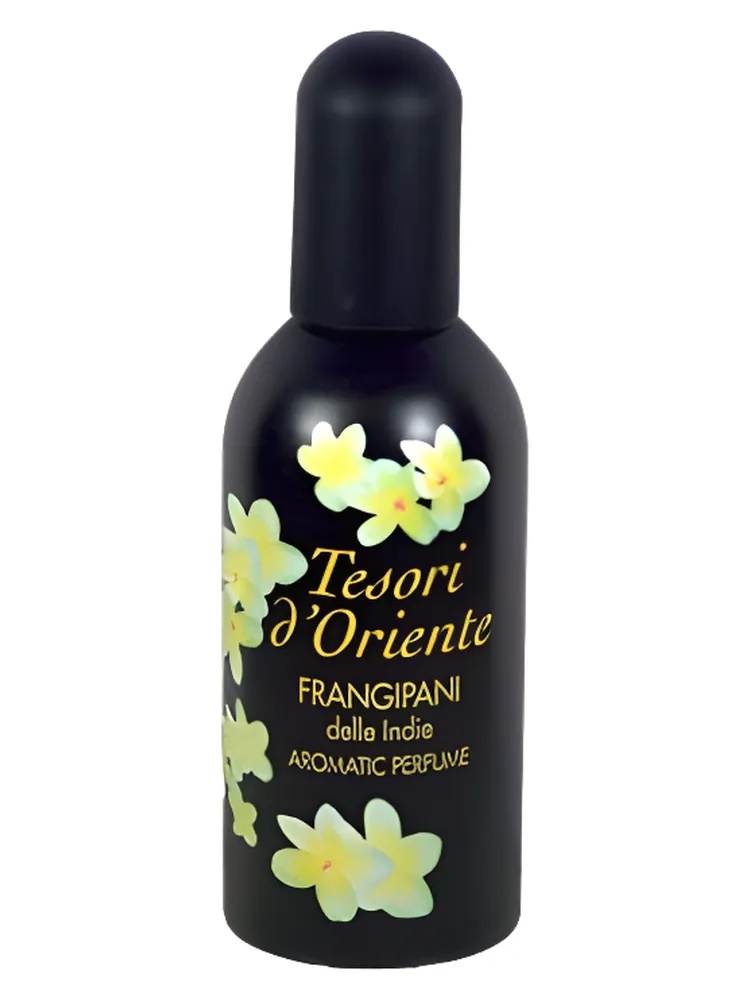 Frangipani delle Indie thumbnail 4