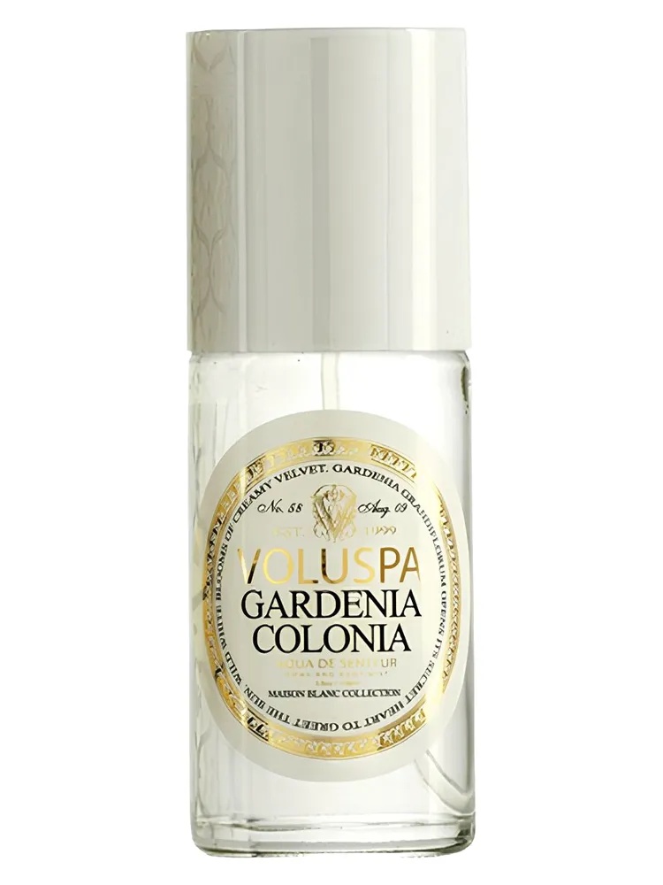 Gardenia Colonia thumbnail 4