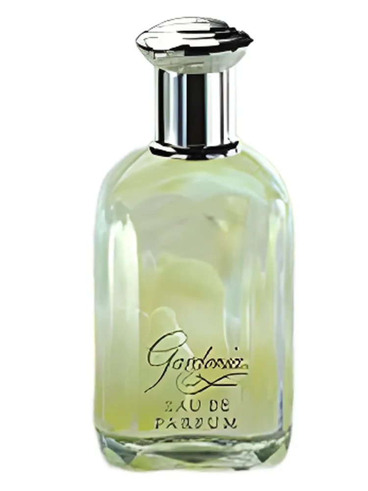 Gardenia thumbnail 4