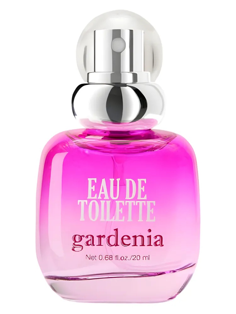 Gardenia thumbnail 4