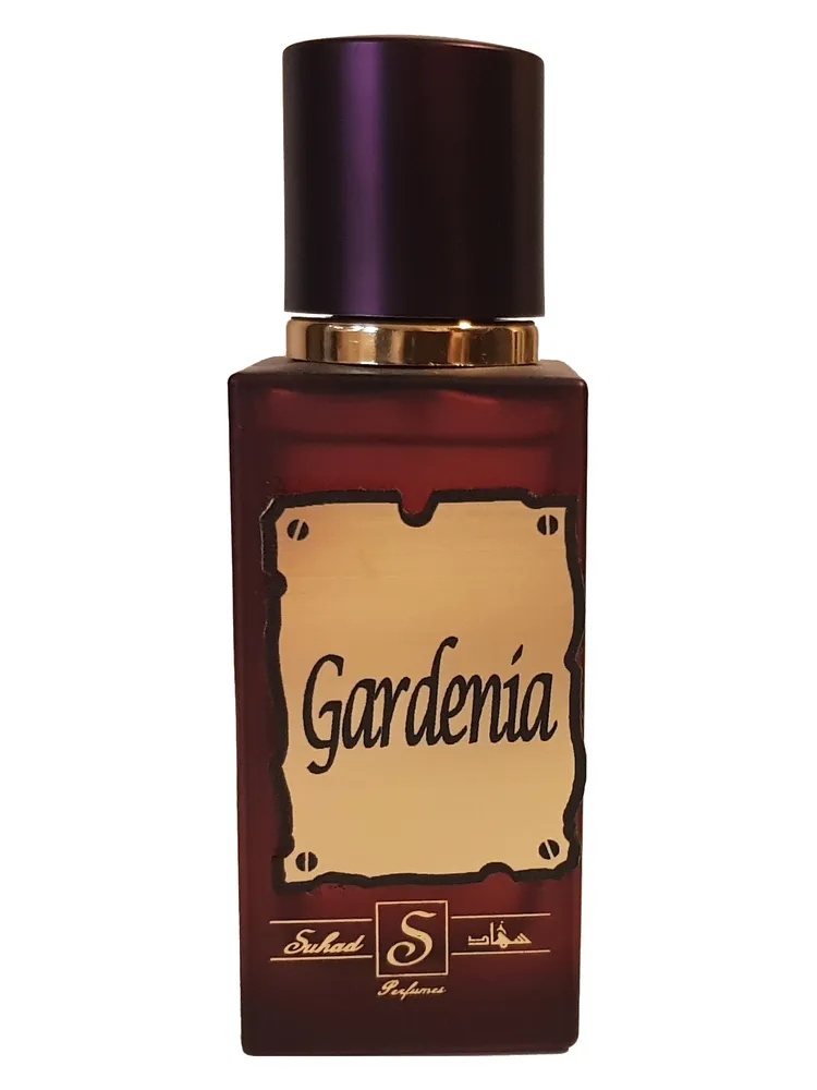 Gardenia thumbnail 4