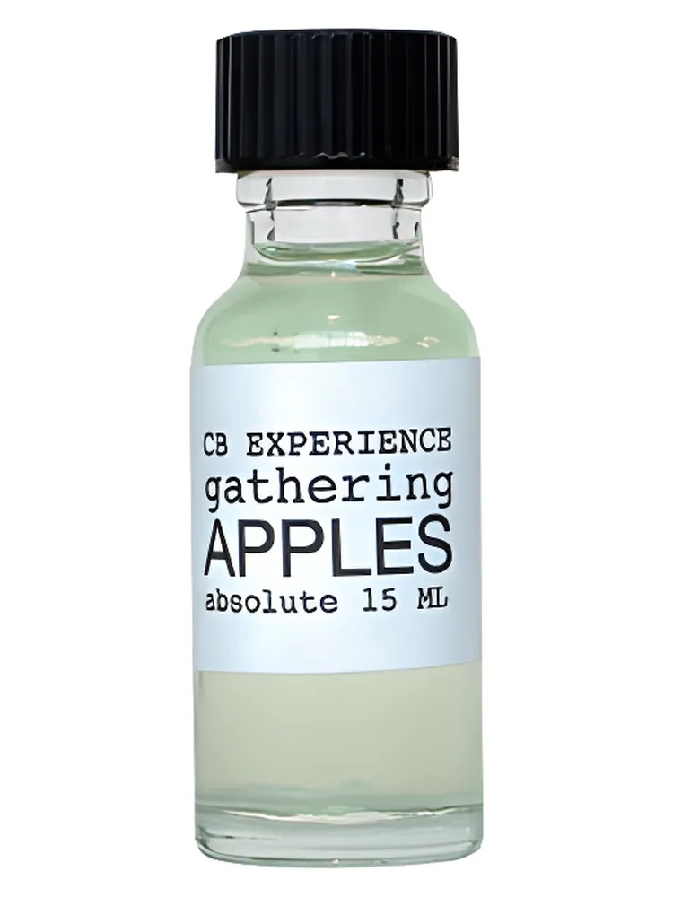 Miniatura 4 de Gathering Apples