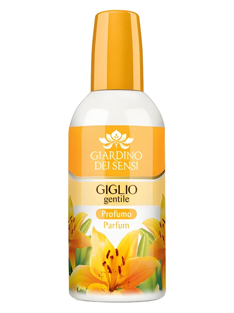 Giglio Gentile thumbnail 4