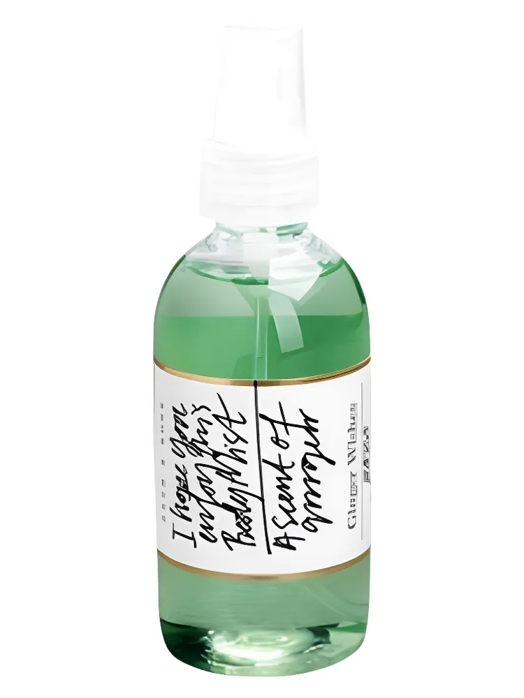 Ginger Wishes Body Mist