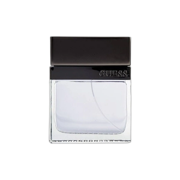 Seductive Homme — Guess