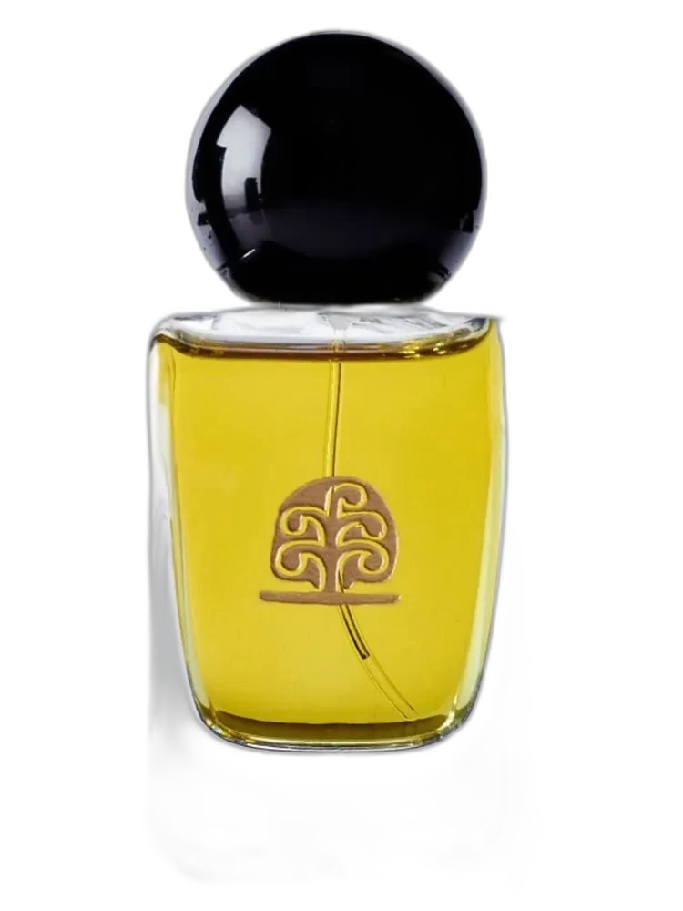 Hommage a Paul Klee Lights and Shadows unisex — Ys-Uzac