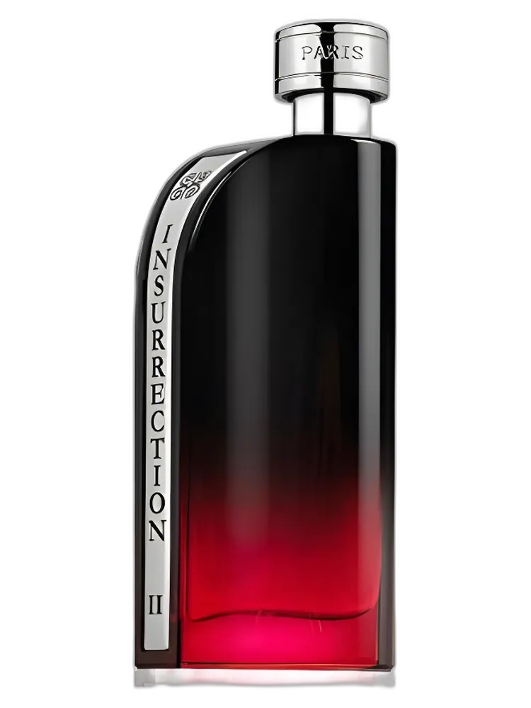 Insurrection II Dark — Reyane Tradition