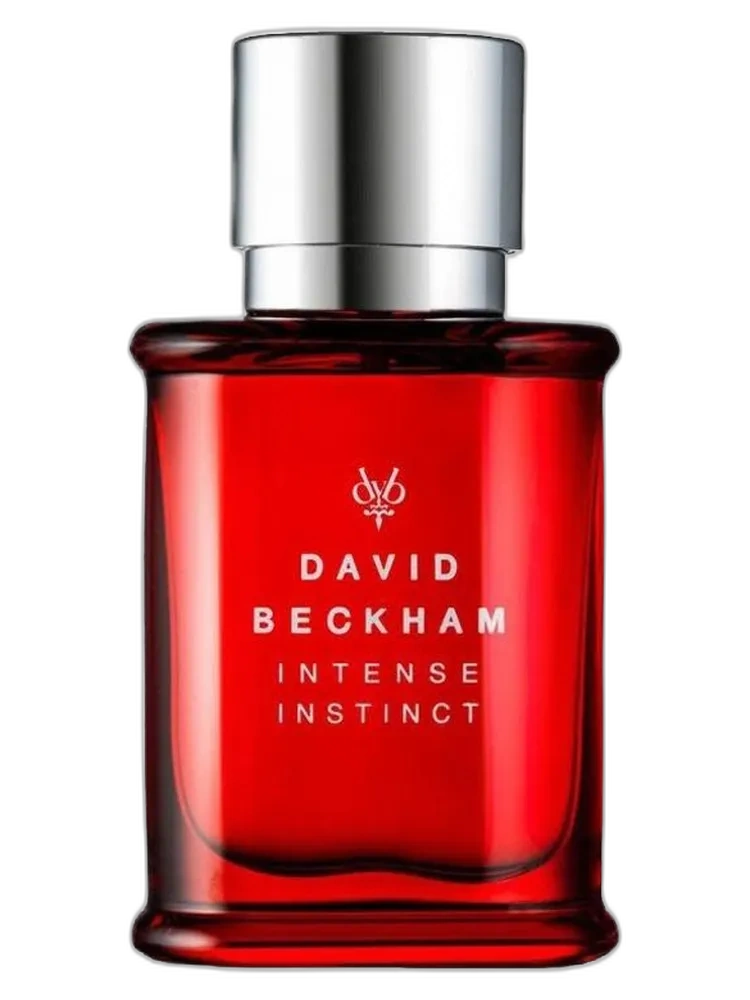 Intense Instinct — David Beckham
