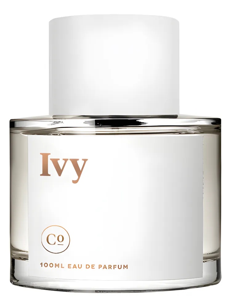 Ivy thumbnail 4