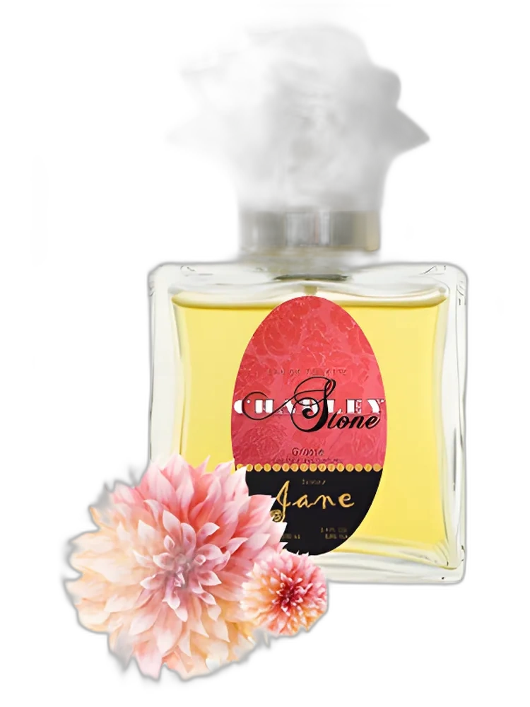 Jane — Guy Bouchara