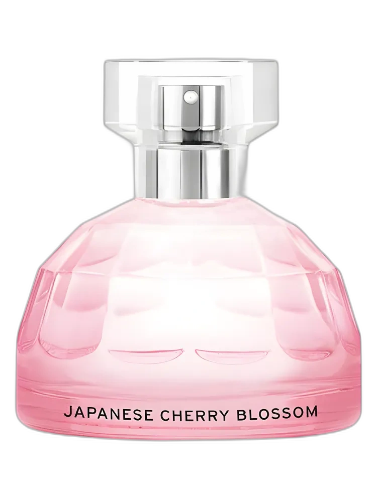 Japanese Cherry Blossom — The Body Shop
