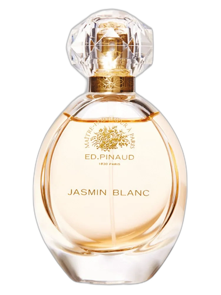 Jasmin Blanc — Ed Pinaud