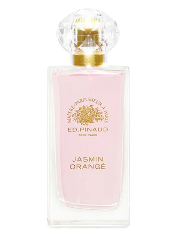 Jasmin Orangé thumbnail 4