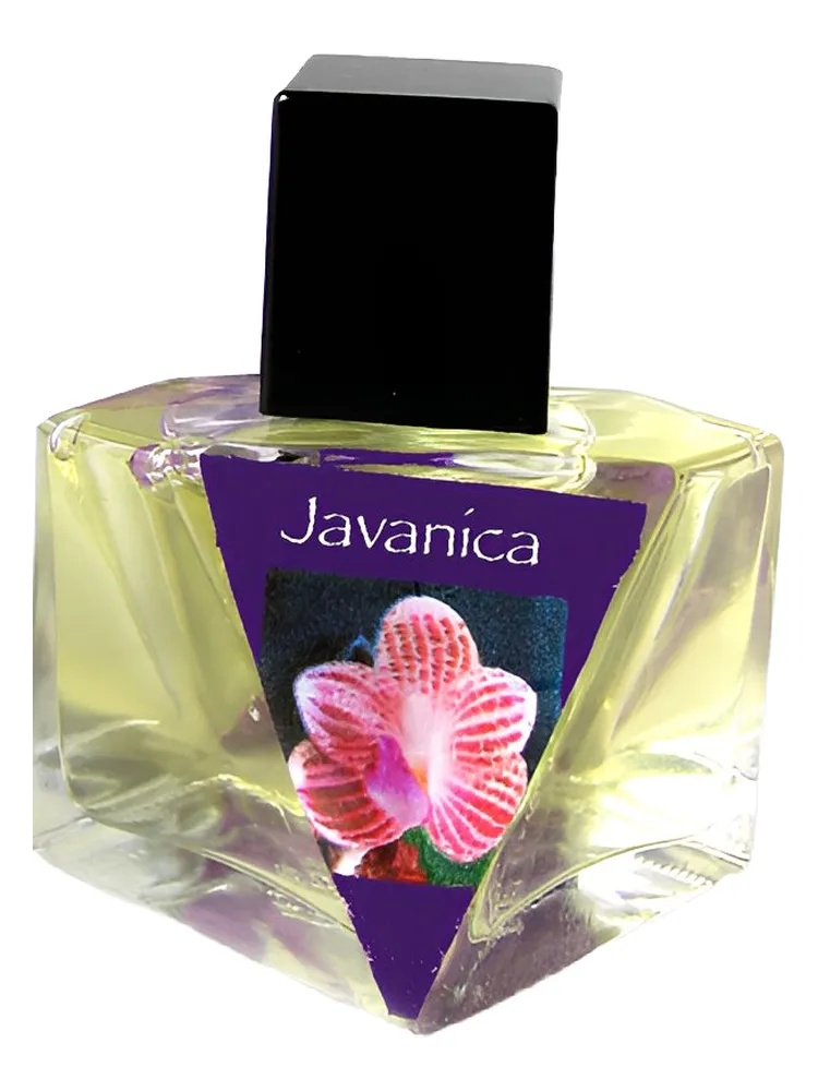 Miniatura 4 de Javanica