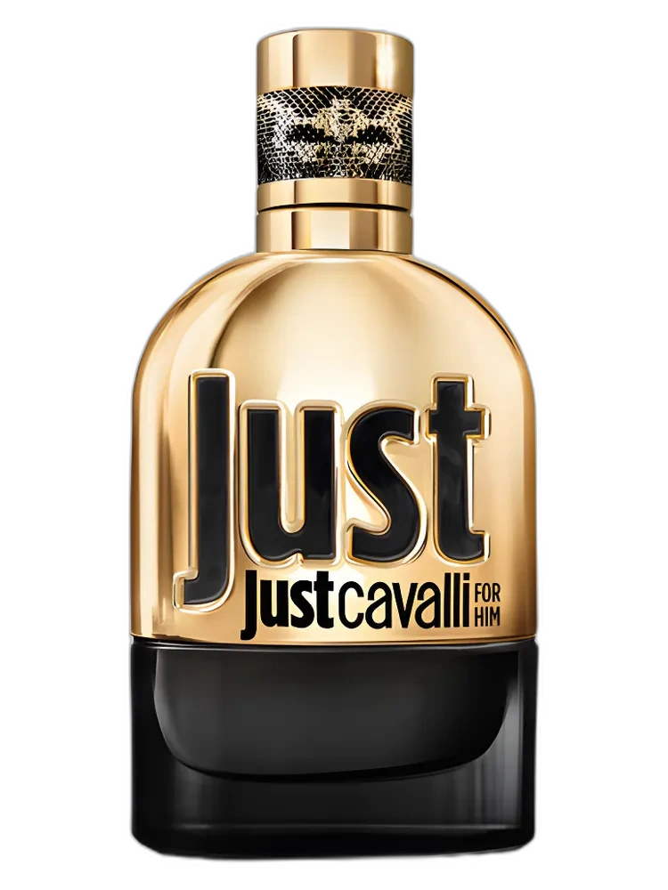 Just Cavalli Gold — Roberto Cavalli
