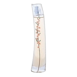 Flower Ikebana Mimosa — Kenzo