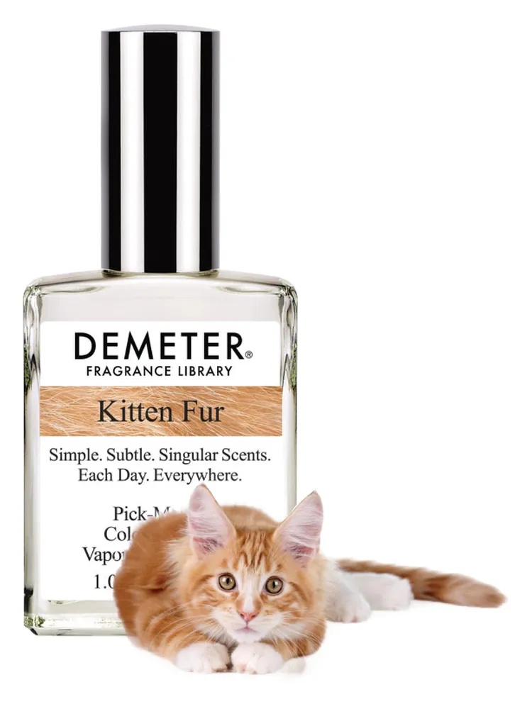 Kitten Fur thumbnail 4