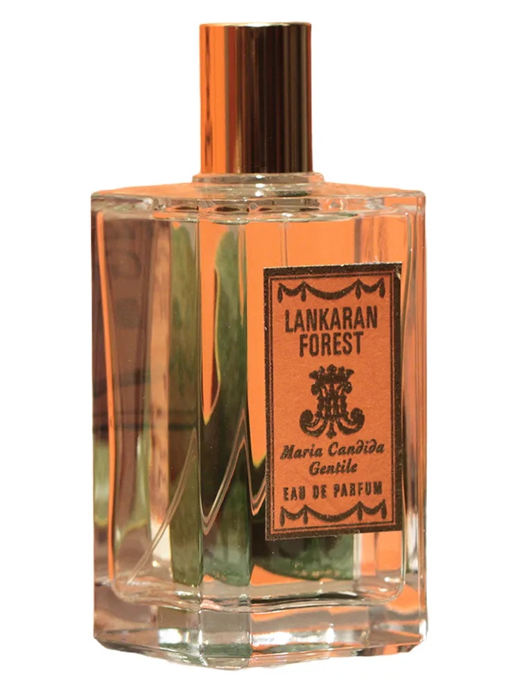 Lankaran Forest thumbnail 4