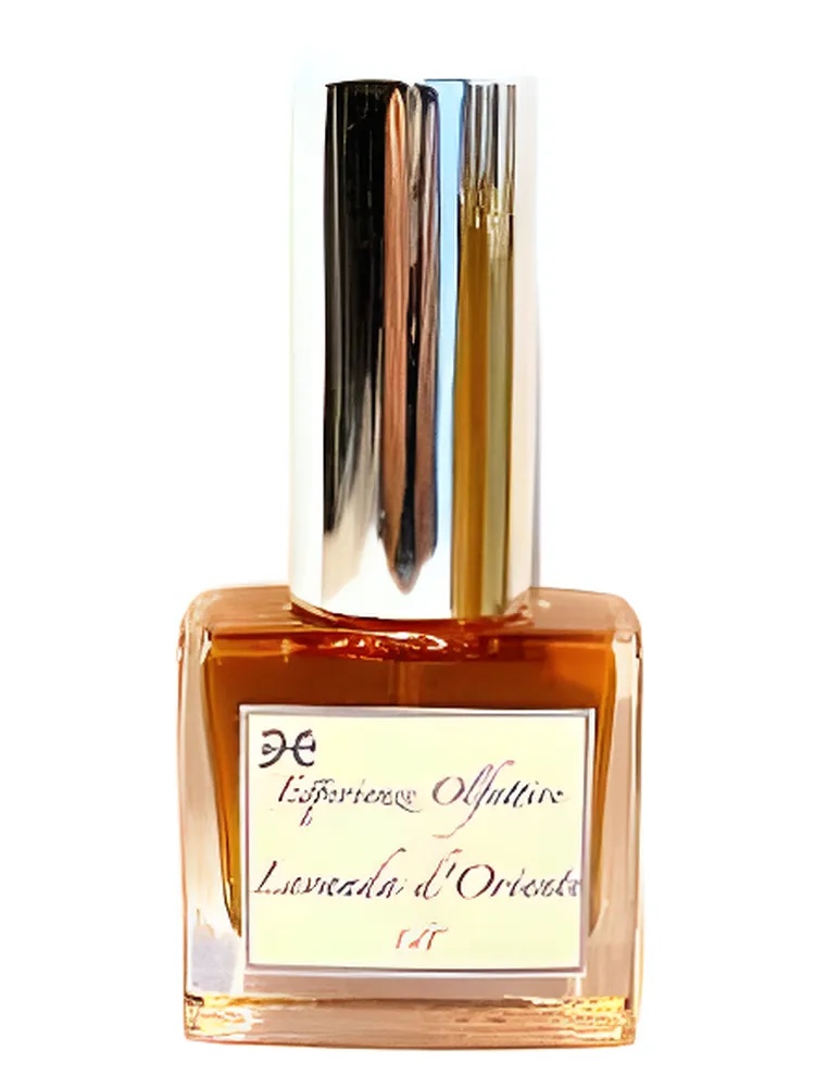 Lavanda d'Oriente thumbnail 4