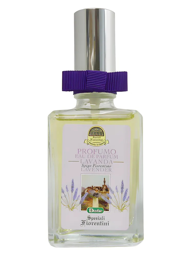 Lavanda thumbnail 4