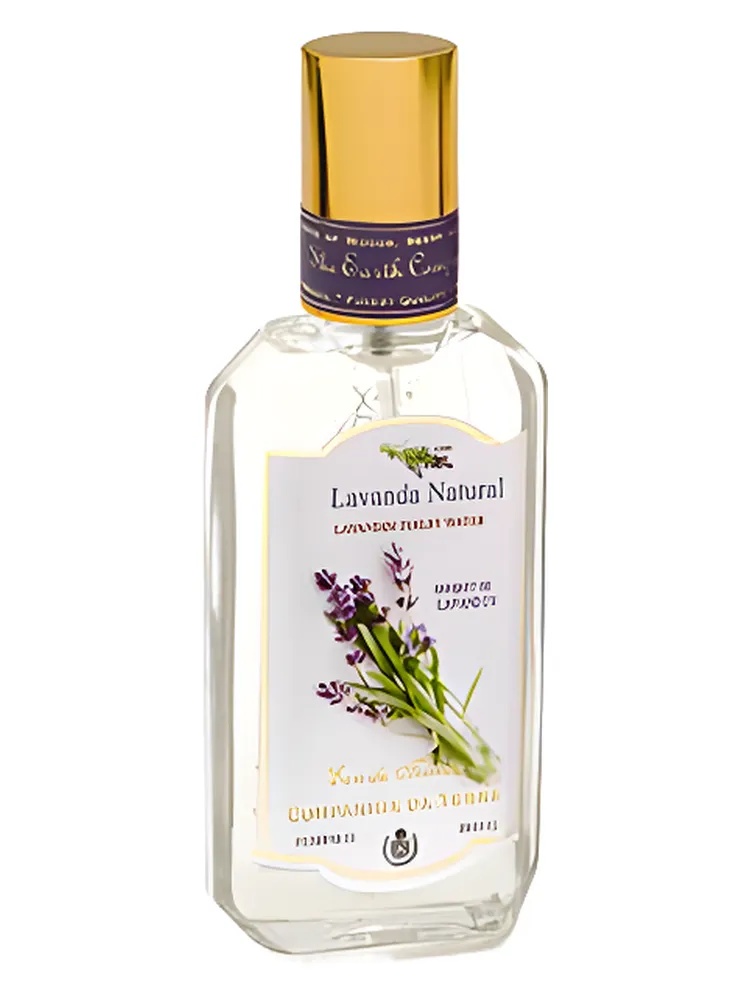 Lavanda Natural thumbnail 4