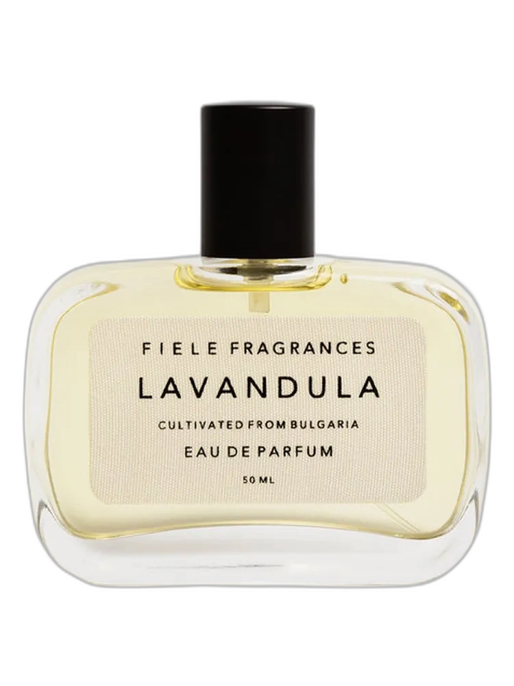 Lavandula unisex — Fiele Fragrances