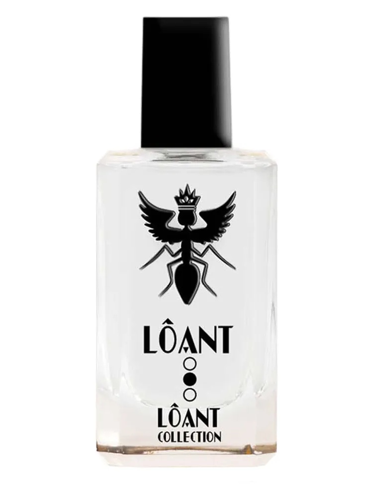 LOANT thumbnail 4