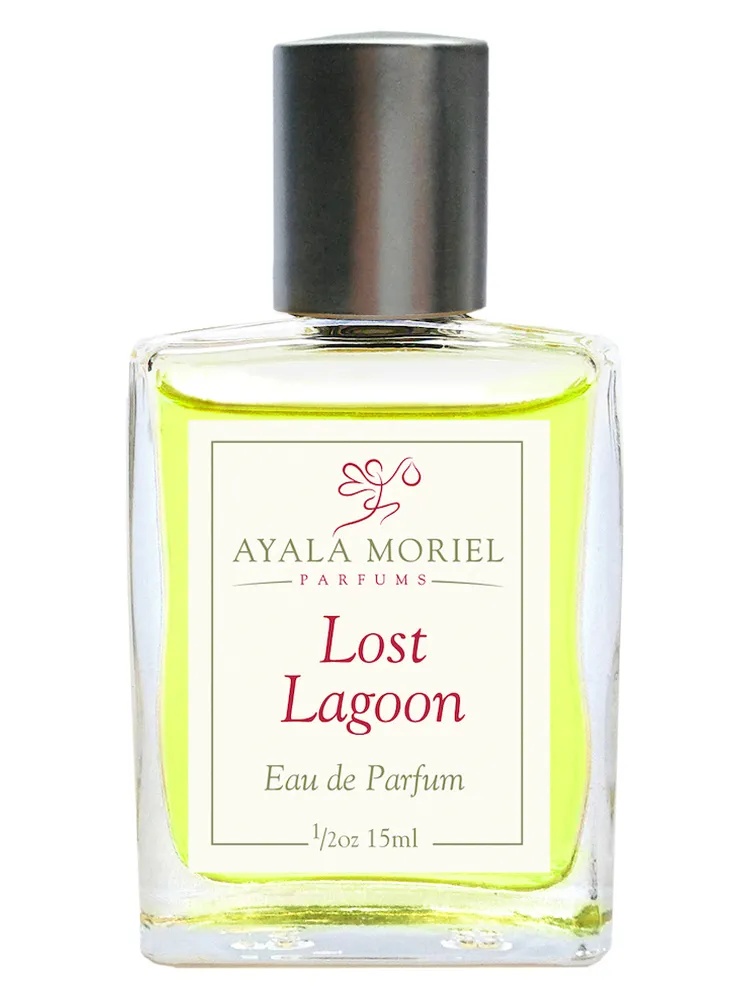 Lost Lagoon thumbnail 4