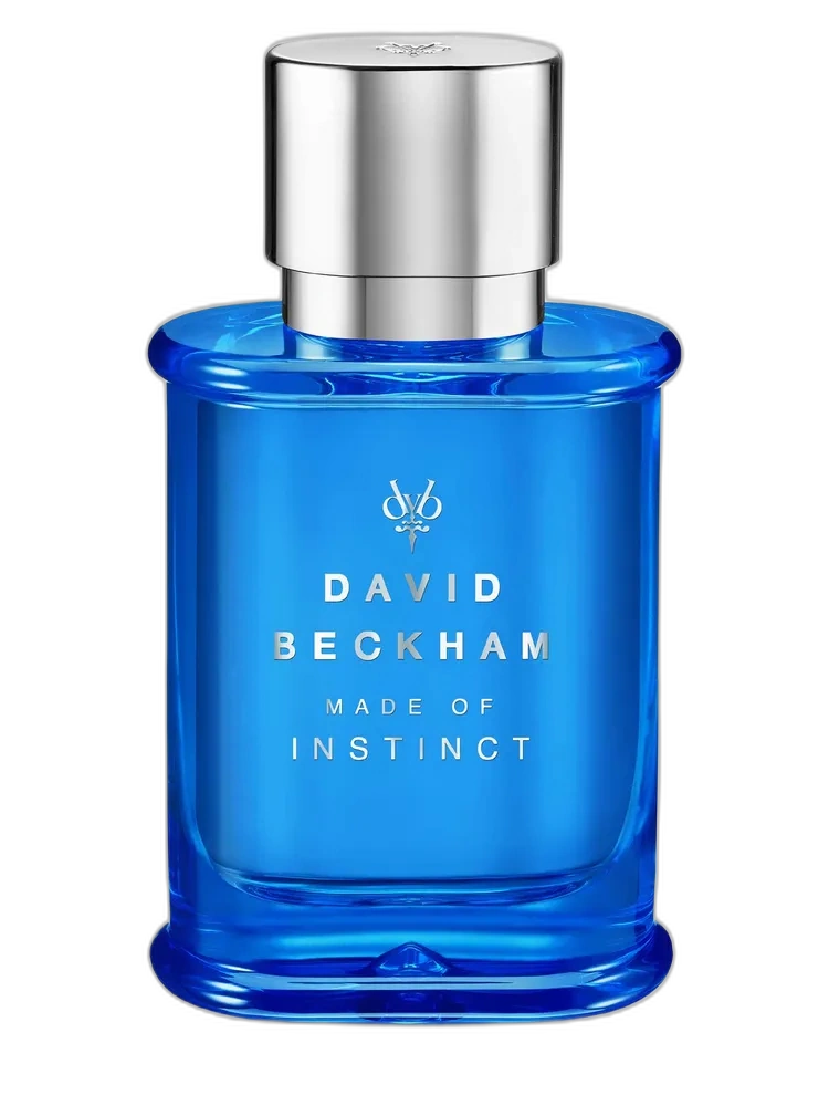 Made of Instinct — David Beckham