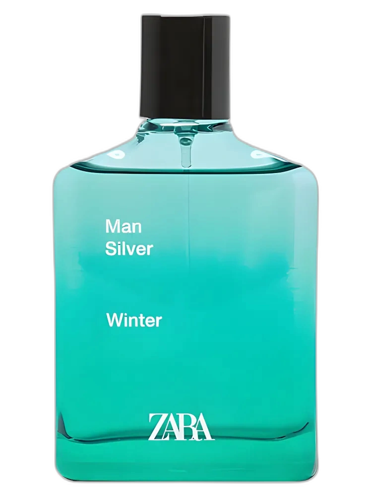 Man Silver Winter — Zara
