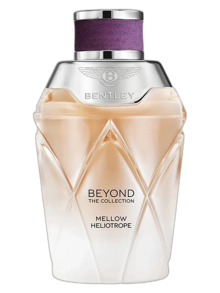 Mellow Heliotrope unisex — Bentley