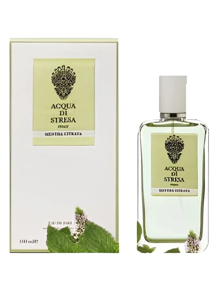 Mentha Citrata thumbnail 4