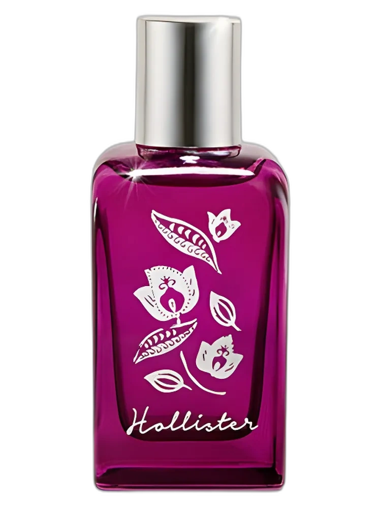 Midnight Falls — Hollister