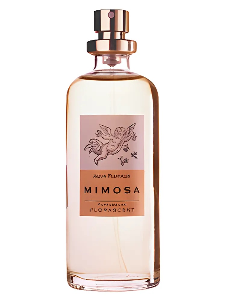 Miniatura 4 de Mimosa