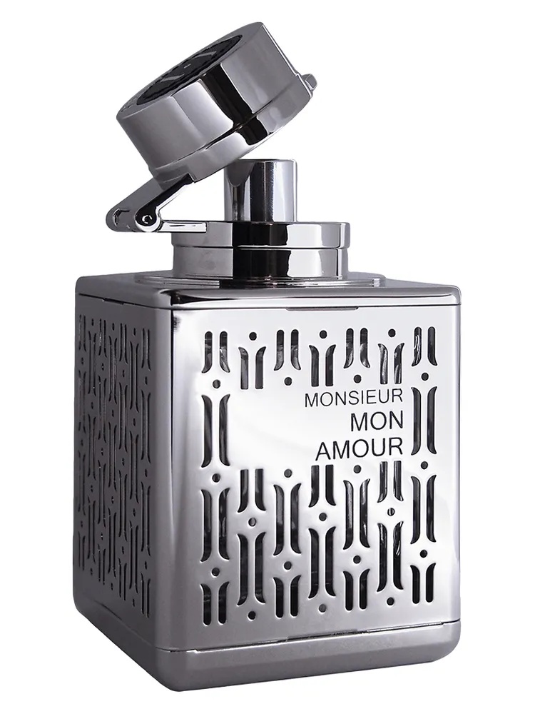 Monsieur mon Amour